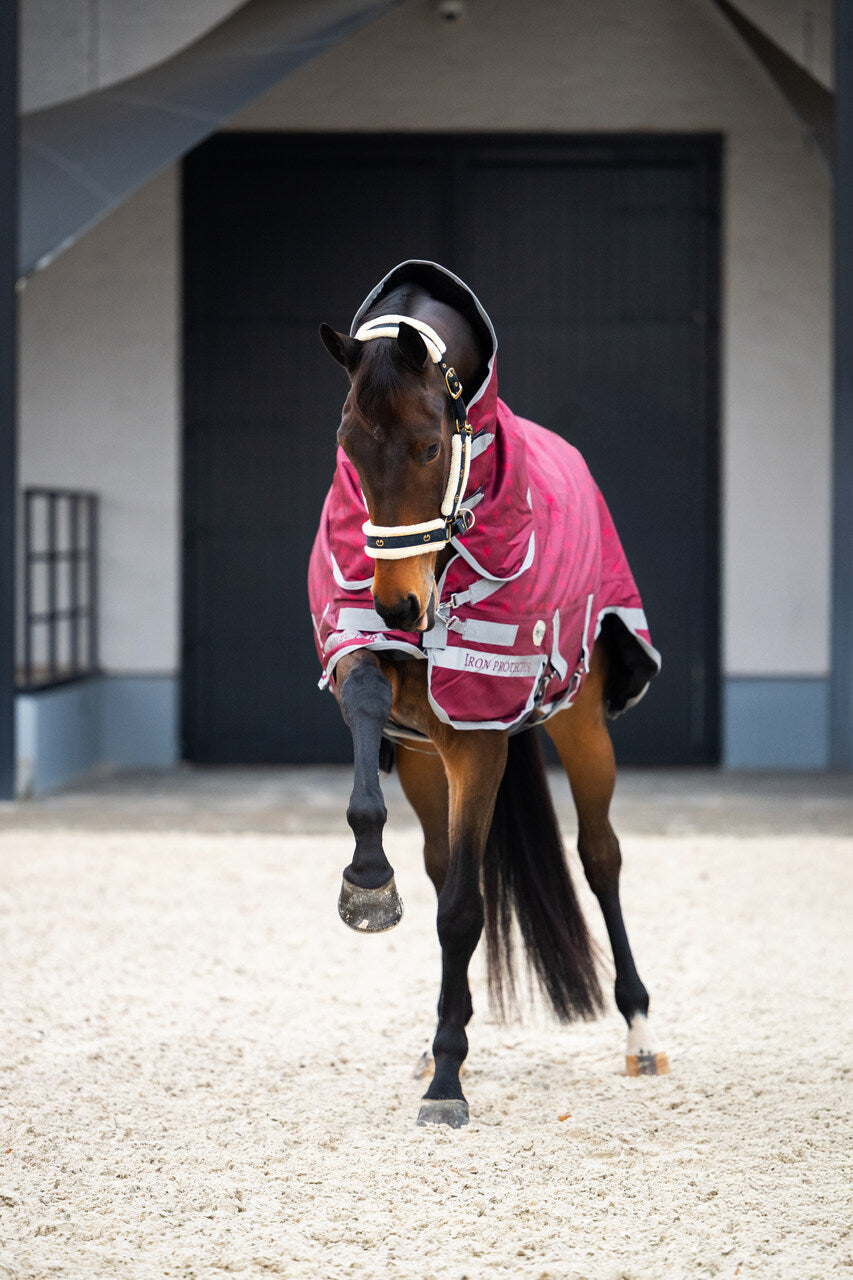 derka padokowa IronProtect Equus