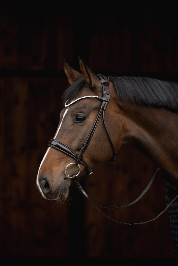 ogłowie szyte na okrągło anatomiczne