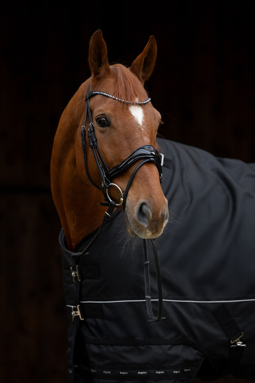 Ogłowie z nachrapnikiem anatomicznym