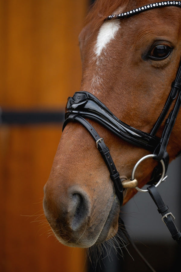 Ogłowie z nachrapnikiem anatomicznym zbliżenie