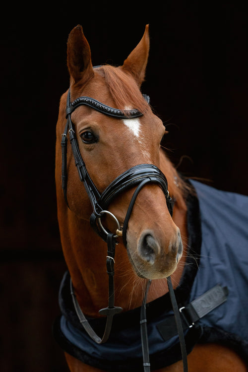 Ogłowie z nachrapnikiem szwedzkim Rain