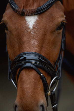 Ogłowie z nachrapnikiem szwedzkim Rain