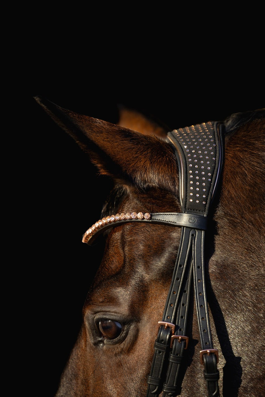 ogłowie z nachrapnikiem szwedzkim Equus