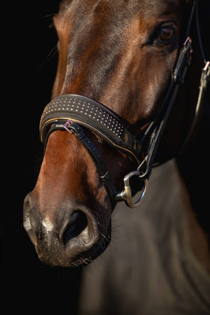 Ogłowie z nachrapnikiem szwedzkim Golden Rose