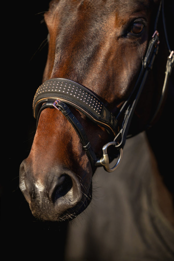 Ogłowie z nachrapnikiem szwedzkim Golden Rose