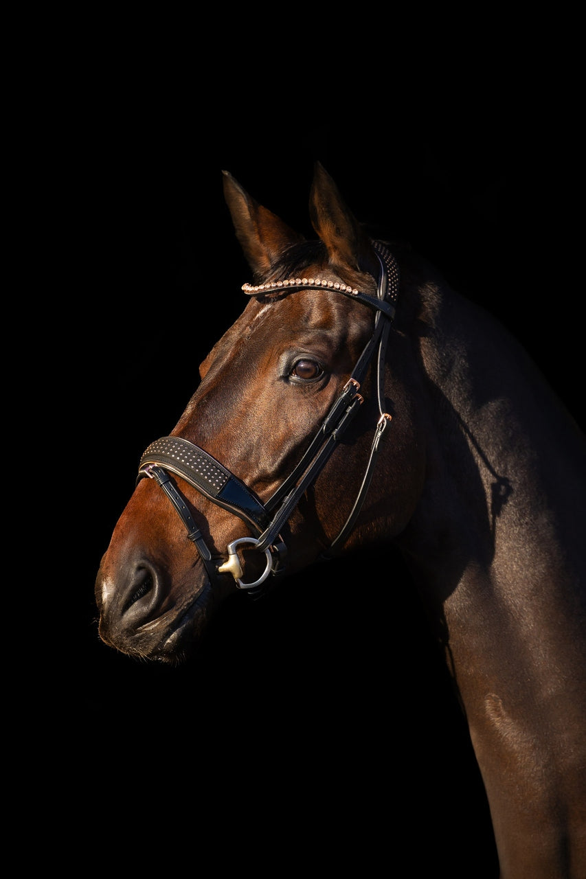 ogłowie z nachrapnikiem szwedzkim Equus