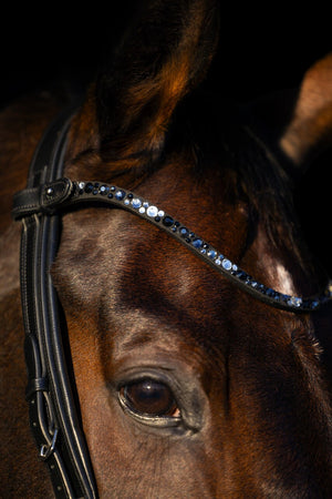 naczółek ogłowie anatomiczne Equus