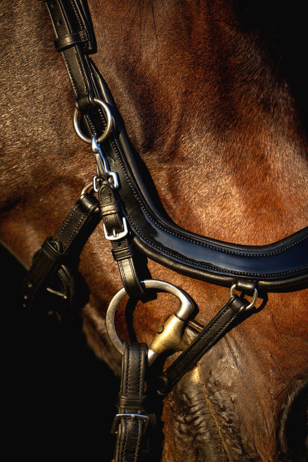 Ogłowie anatomiczne lakierowane