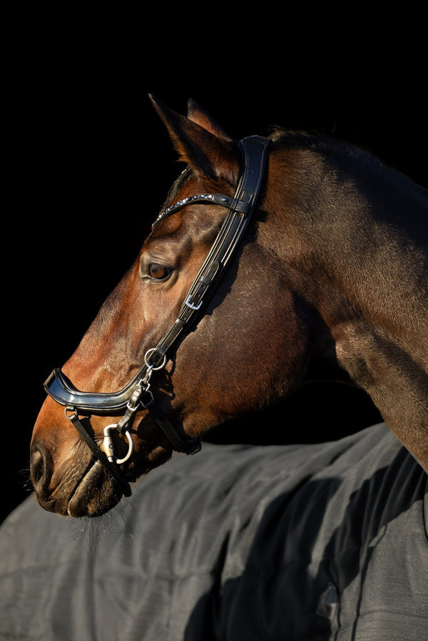 Ogłowie anatomiczne lakierowane