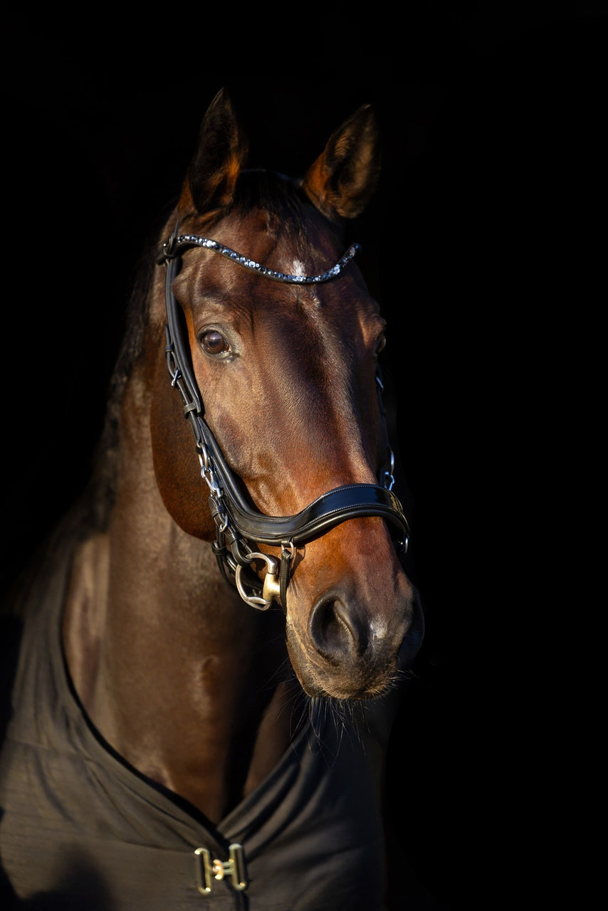 ogłowie anatomiczne