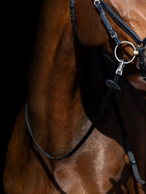 wodze skórzano gumowe ze stoperami Equus Brand