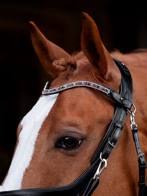 naczółek seria Comfort Equus Brand multicolor