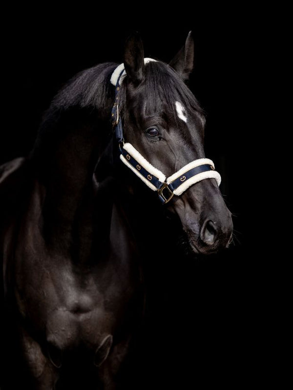 Kantar SatinPro Gold