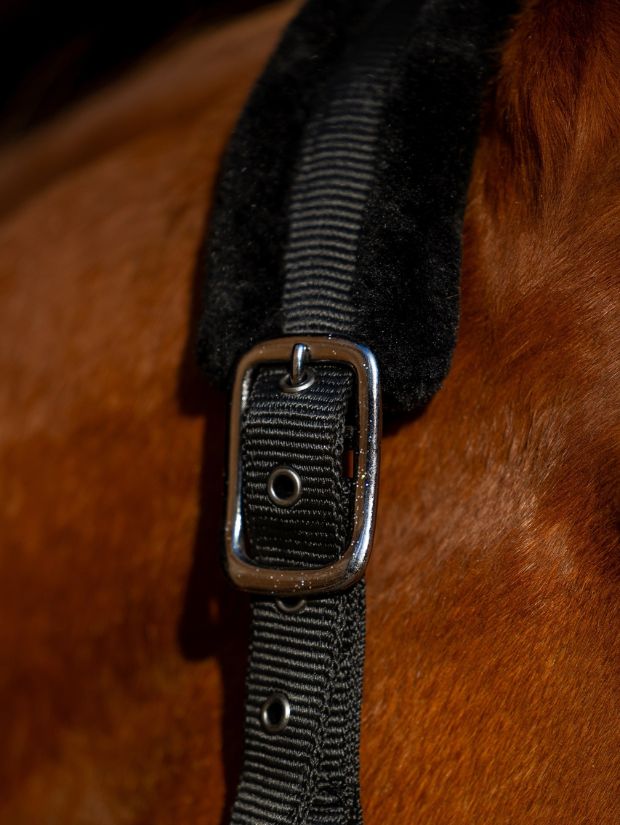 Kantar Fluff silver Equus Brand