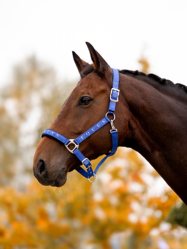 kantar SatinMesh niebieski Equus Brand